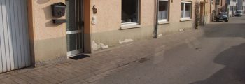 Einfamilienhaus in Schmittweiler